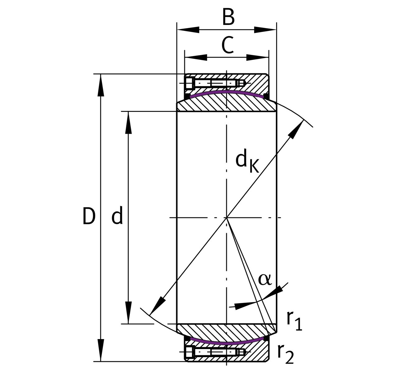 GE1000-DW-2RS2 GE1000-DW-2RS2