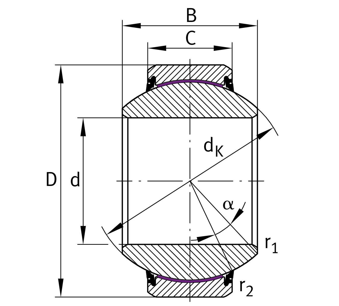 GE100-FW-2RS GE100-FW-2RS