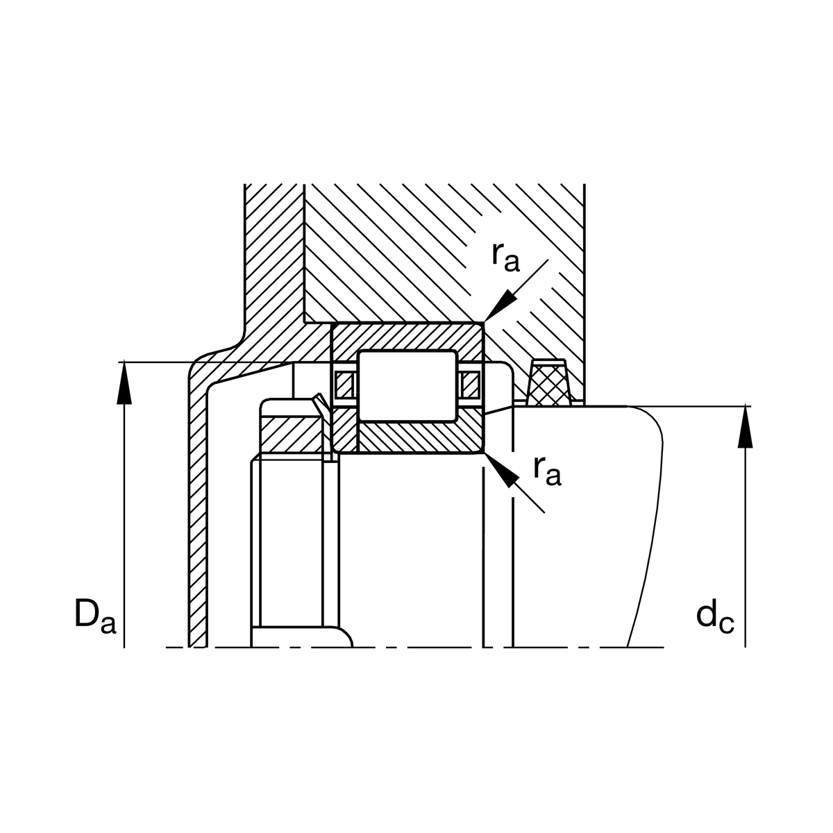 NUP209-E-XL-TVP2 NUP209-E-XL-TVP2