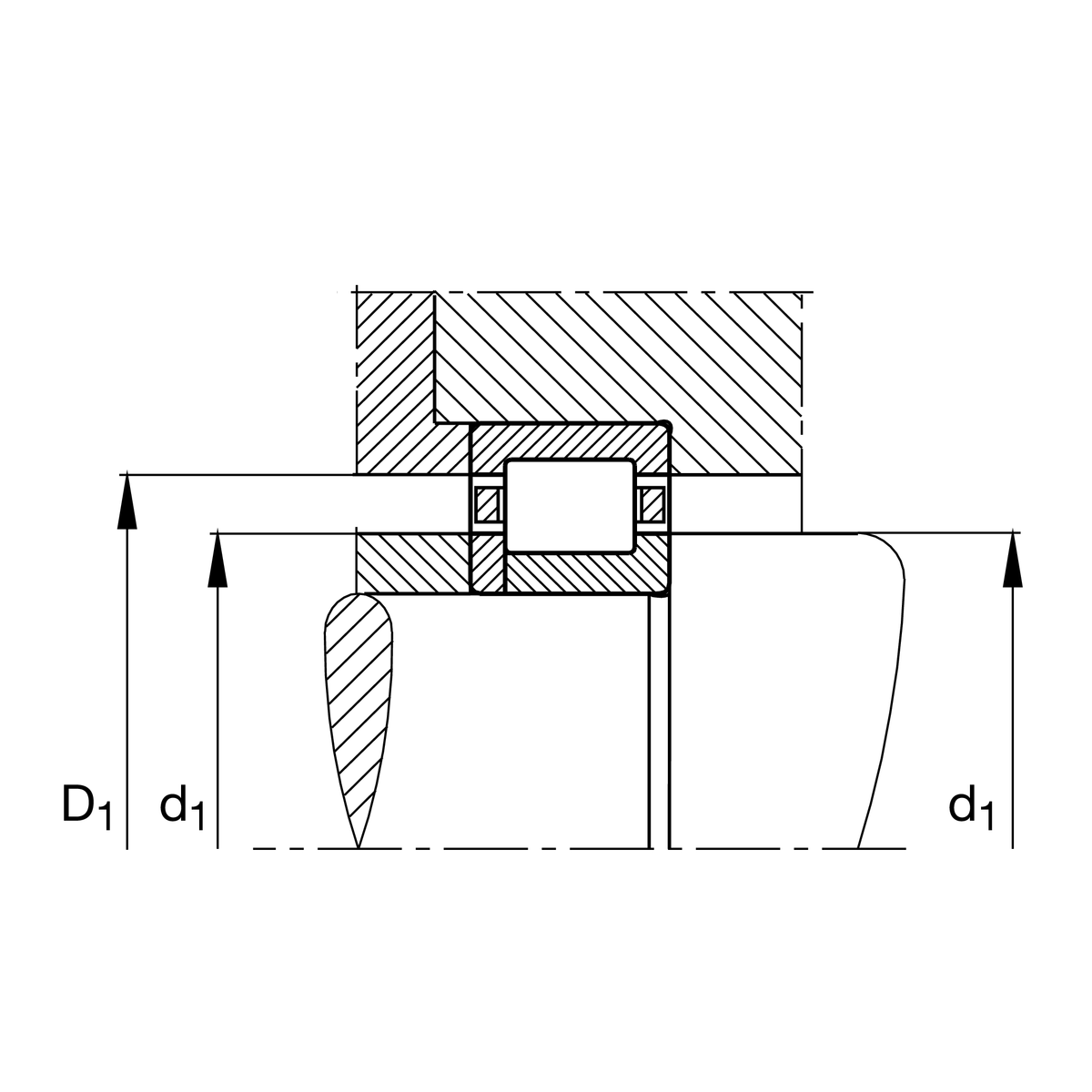 NUP209-E-XL-TVP2 NUP209-E-XL-TVP2