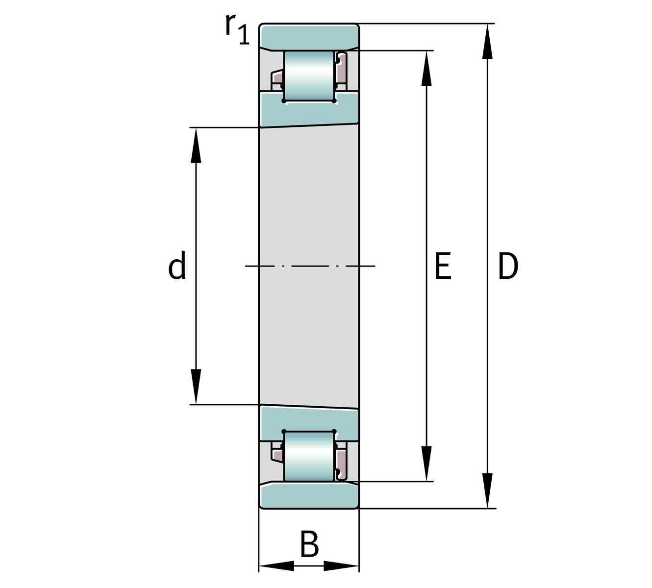 N1008-K-PVPA1-SP N1008-K-PVPA1-SP