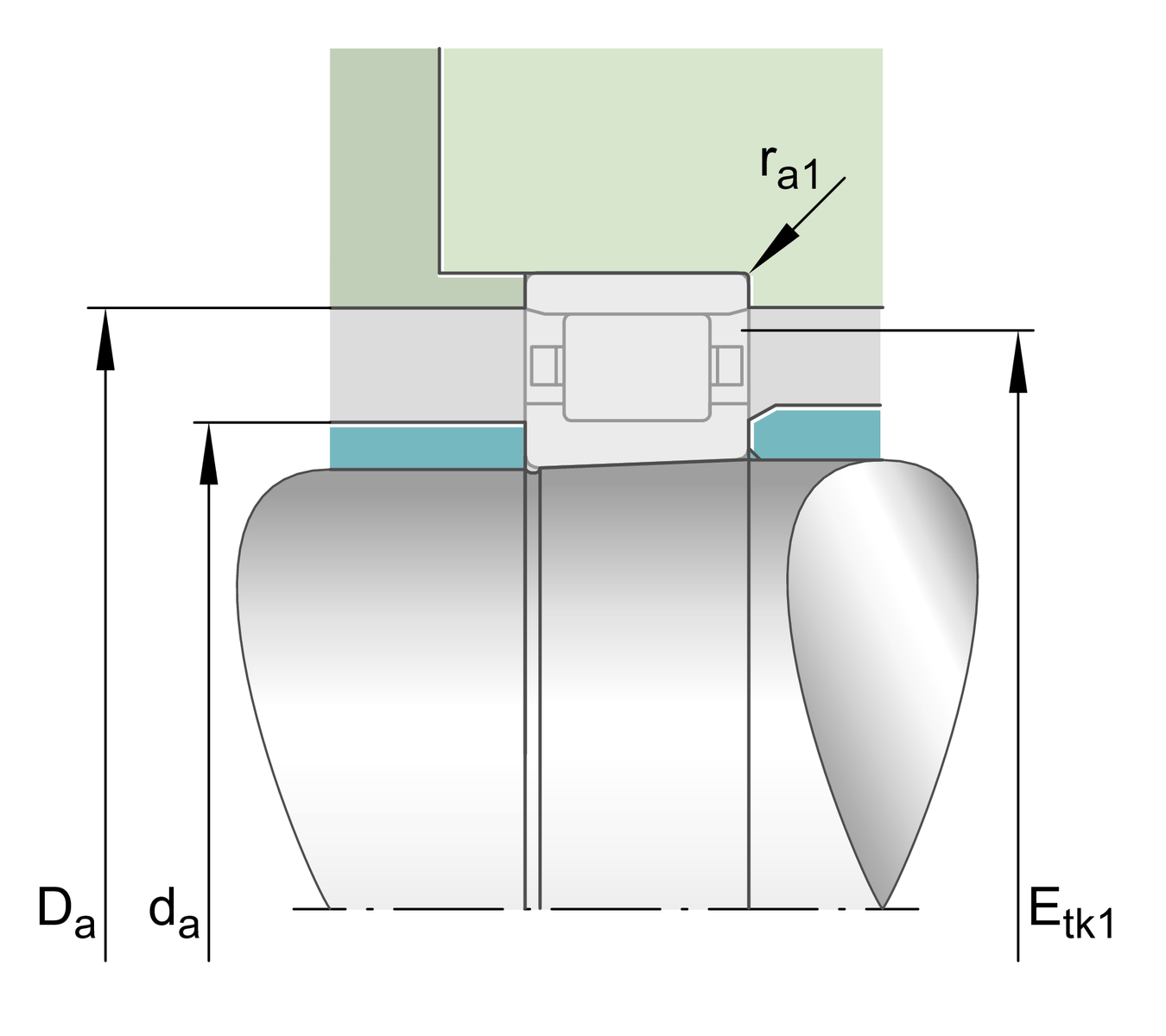N1007-D-K-TVP-SP-XL N1007-D-K-TVP-SP-XL